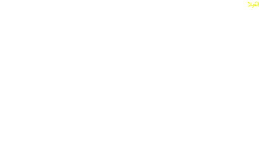 الفيلا كانت الفيلا هي سكن ملاك المنتجع الاصلين، وتم تحويل الفيلا الي ثلاث غرف فاخرة مع صالة كبيرة وبالكون يطل علي البحر مباشرة. تعد غرف الفيلا مثالية لسكن عائلة او مجموعة أصدقاء صغيرة ولكن هذا لا يمنع نزول الضيوف بها غرفة بغرفة بشكل منفرد الفيلا مبنية من الحجر الأحمر المحلي على طراز مباني النوبة مع أسقف على شكل قبب بطوب احمر ترسم اشكال زخرفية. تتمتع هذه الغرف بنفس مواصفات الشاليهات من احتوائها على كافة المرافق ولكن بمساحة أكبر. تحتوي الفيلا على ثلاث غرف: - ٤٠١ غرفة منفردة بسرير فردي كبير ٤٠٢ غرفة مزدوجة (توئم) ٤٠٣ غرفة مزدوجة بسرير كوين تتضمن الغرف مرافق متعددة فيوجد بداخلها دورة مياه خاصة ودش، وحدة تكيف منفصلة، خزينة رقمية وإنذار حريق. في الصالة المشتركة يوجد شاشه LED وجهاز استقبال قنوات خاص، ثلاجة ومكتب تنظف الغرف يوميا وتغير بياضات الاسرة ويزود كل ضيف يوميا بعدد ٢ فوطه للاستخدام داخل الغرفة وفوطة شاطئ.. 