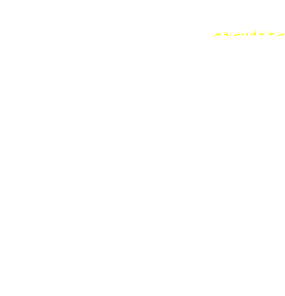  روتس ريد سي يوفر خبرة فريدة لإجازات البحر الأحمر، على وجود الكثير من الفنادق الأخرى والمخيمات لكن لا يوفر أي منهم مناخ العزلة والاسترخاء مع الاندماج في الطبيعة الخلابة للبحر الأحمر مع إقامة زات جودة عالية وشاطئي خاص يتمتع بمكان للغوص والسباحة يعد من أفضل ١٠ مواقع للبحر الأحمر. من اهم المرافق بروتس ريد سي: شاطئي خاص، كراسي شمس، شمسيات، حمامات ودش بماء عذب. حمام سباحة وبار خاص به. مطعم ومقهى على الشاطئ، يعمل من الساعة ١٠ صباحا حتى الساعة ٤ عصرا، ويقدم وجبة الغذاء والمشروبات الباردة والساخنة. مركز غوص بادي ٥ نجوم. فريق عمل المطبخ، فريق ذو خبرة كبيرة لفنادق الخمس نجوم ويقدمون ٣ وجبات بوفيه مفتوح. تقدم المشروبات الساخنة على مدر اليوم ٢٤ ساعة بار مكتمل بالمنتجع ركن خاص لتدخين الشيشة شبكة انترنت واي فاي بسعر تنافسي تنظيم الرحلات المختلفة من المنتجع خدمة نقل الحقائب وتخزينها لموعد المغادرة خدمة الغسيل تواجد طبيب معالج بالاتصال الطارئ. ريسبشن على مدار اليوم ٢٤ ساعة بالطلب من المنتجع تقديم خدمات التدليك والمساج في المنتجع ببساطة كل ما تحتاج في مكان مثالي للاسترخاء واسترداد نشاطك. 